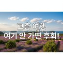 고흥 가볼만한곳