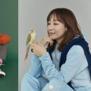 펫션화보 이미지