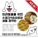 반려동물을 위한 수제간식&아로마제품 제작반 이미지