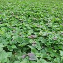 고고마 - 전주시 덕진구 세병서로 9 | 고고마