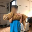 마음은 왜 움직이는 걸까?