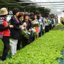 농업회사법인 (주)행복한농장 이미지