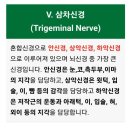 림테라피