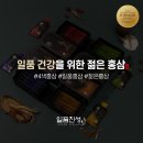 일품진성 이미지