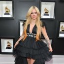 벨라.캣 이미지