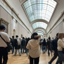 그린하트 민박 | 파리 루브르 박물관 투어 꼭 해야할까? 내돈내산 후기 동선