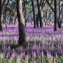 삼문빌딩 이미지