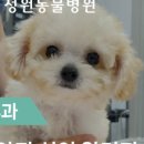 정원동물병원 이미지
