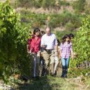 안티노리 이미지