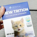 올포 | 고양이 영양제 올포캣 종합 영양제 급여 후기 5가지 변화