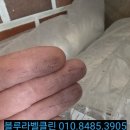 클린메이드소독