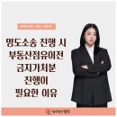 명도소송 진행 시 부동산점유이전금지가처분 진행이 필요한 이유 이미지