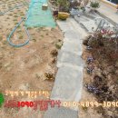 편백나무 주택 이미지