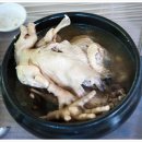 월성계곡산장 이미지