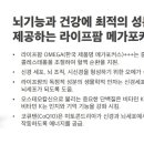 팜 라이프 이미지