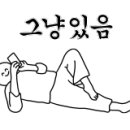 프린세스애견 이미지