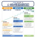 대시나루