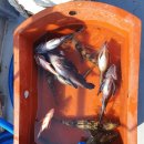 다경메탈 이미지