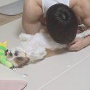 꽁냥파파 이미지