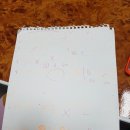 오늘도포근
