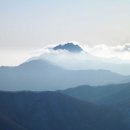 맑음약국 앞 이미지