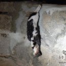 연대앞 공중화장실 이미지