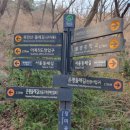 [제 205 회 낭만길걷기]3월7일(토요일) 장미공원. 탕춘대성걷기 이미지
