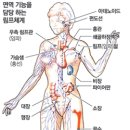 감기·장염…주범은 추위로 뚝 떨어진 면역력 이미지