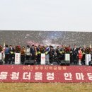 어울렁더울렁 이미지