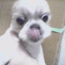 김진희128 이미지