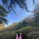 나도이모티콘작가 이미지