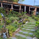 무주흙집풍경 | [내돈내산] 무주 숙소 - 흙집 정원 펜션 '라제통문' 솔직후기