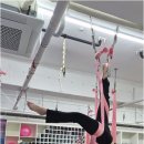 꽃이필라&꽃이피지오스튜디오평생교육원