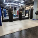 시나브로복싱 이미지