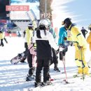 스키 | 홍천 비발디파크 스키강습 슬로프 적응 스쿨 후기