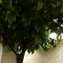 큰손한식뷔페 이미지