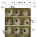 너일해봄 네이버블로그