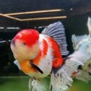 금어농장 이미지