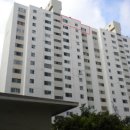 하단동204 이미지