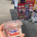 현주여행사
