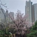 판교봇들공인중개사사무소 | 판교에서 보물을 찾다? 봇들7단지와 그 주변의 숨겨진 부동산 이야기