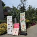 아름다운정원 - 성남시 중원구 도촌로8번길 20 | 천안 가볼만한곳 아름다운정원 화수목 후기 🌸 화수목베이커리까지!