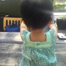 달콤한게으름놀이터