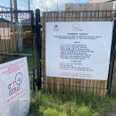 더멍멍컴퍼니 이미지