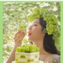 투썸플레이스광양이순신대교점