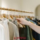 패션디자인(심화) 이미지