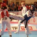 세계태권도장 이미지