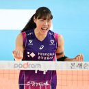 흥국생명 이미지