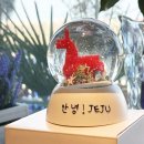 어바웃제주 이미지
