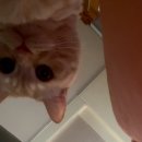 썸데이 헤어 이미지